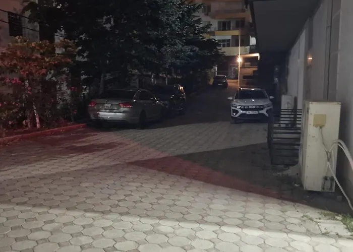 Samo's Apartment's *